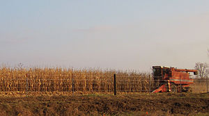Corn harvest, Jones County, Iowa Bill Whittake...