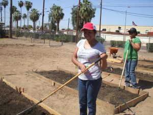 Community gardening makes a comeback in the Arizona desert