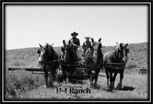 H-4 Ranch harnessing clinic