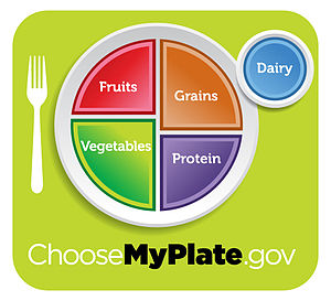 English: USDA MyPlate nutritional guide icon