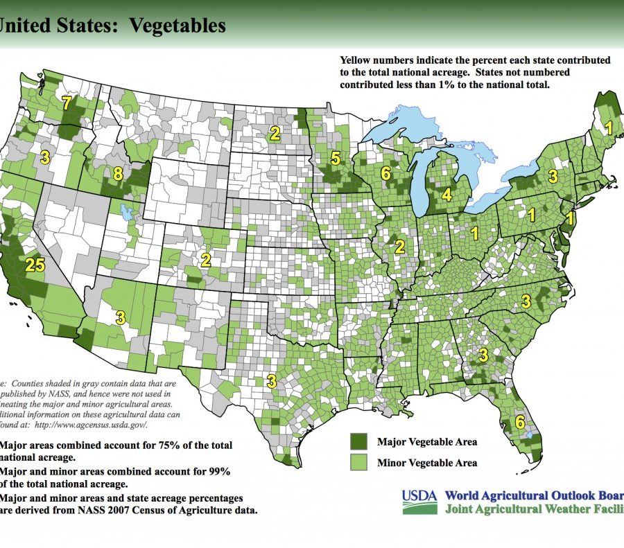 vegetables-1024x791 - Fill Your Plate Blog