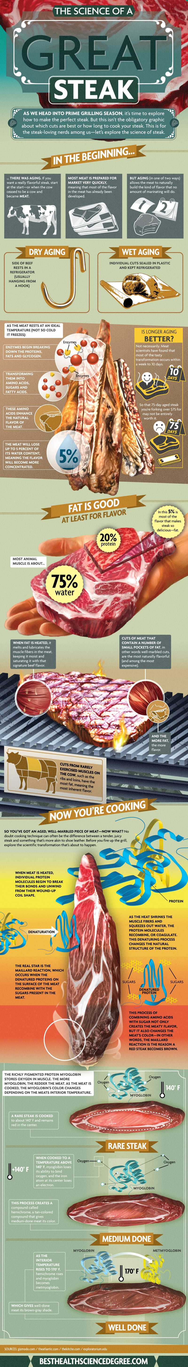 The Science of a Great Steak