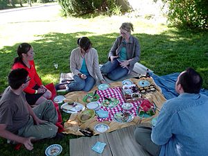 A picnic in Toronto, Canada