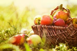 Read about all the delicious things you can do with apples this fall (photo credit: BigStockPhoto.com)