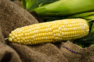 Learn some facts about GMOs (photo credit: BigStockPhoto.com)