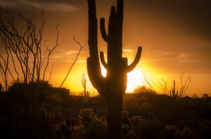 Follow these tips to save money and keep cool this summer in Arizona (photo credit: BigStockPhoto.com)