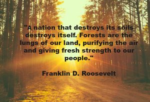 “A nation that destroys its soils destroys itself. Forests are the lungs of our land, purifying the air and giving fresh strength to our people.” Franklin D. Roosevelt Quote