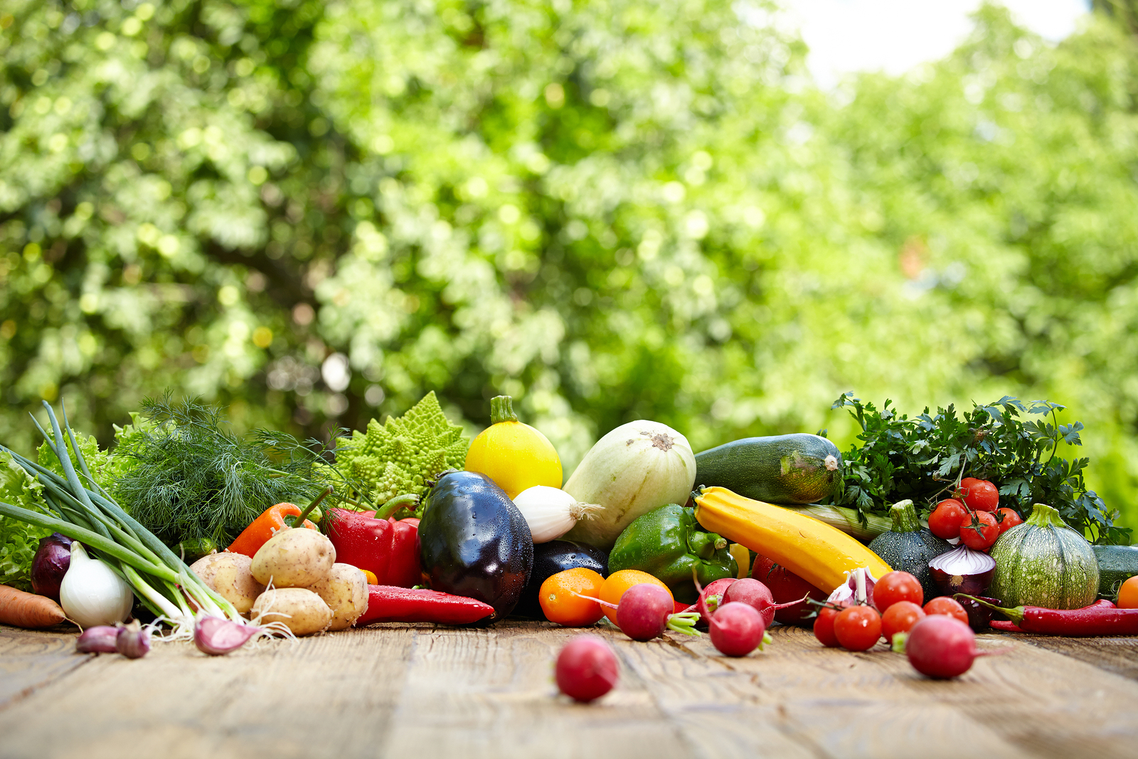 https://blog.fillyourplate.org/wp-content/uploads/2015/06/bigstock-Fresh-organic-vegetables-ane-f-68352535.jpg