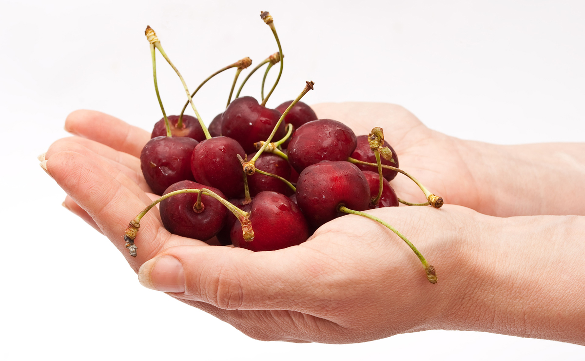 Hand holding red cherry