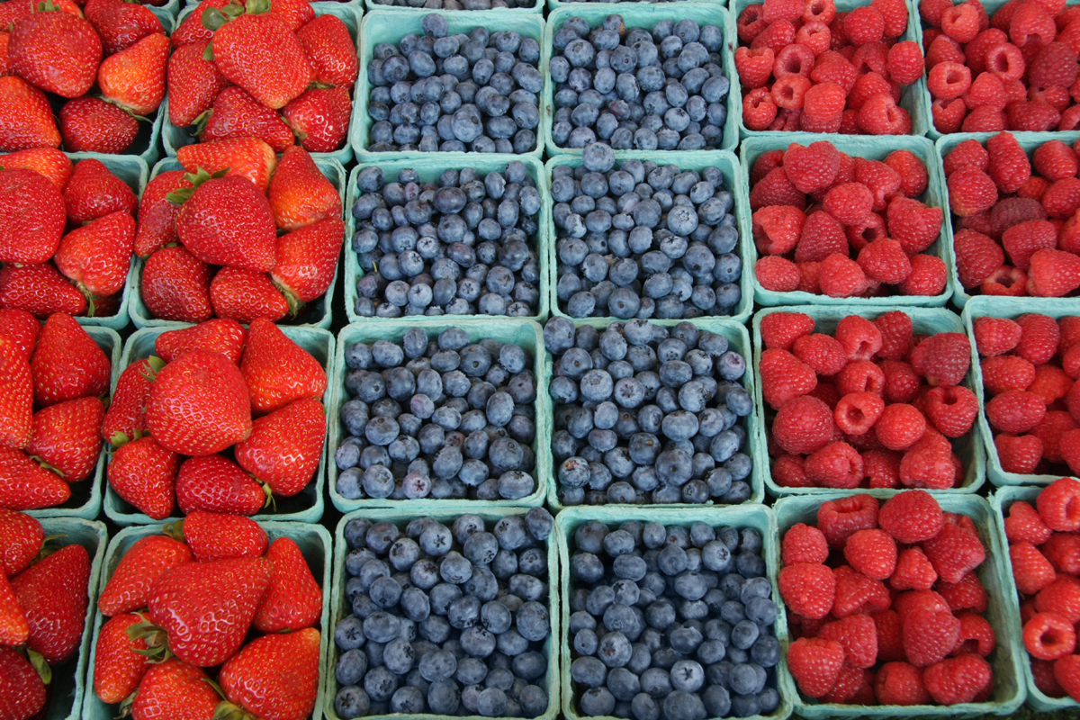 Fresh, organically grown berries - strawberries, blueberries, raspberries