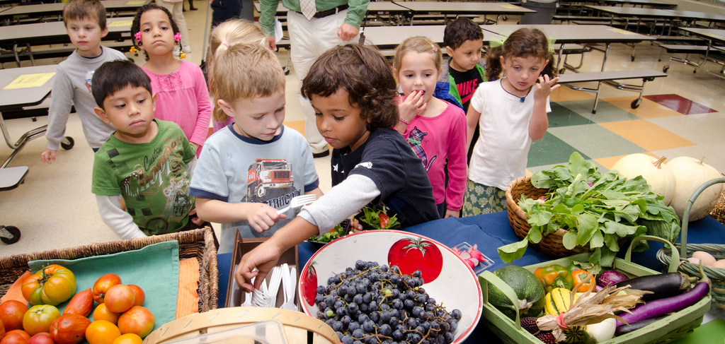 Nutrition for the Life Cycle Series – Nutrition During School-Age Years - Fill Your Plate Blog