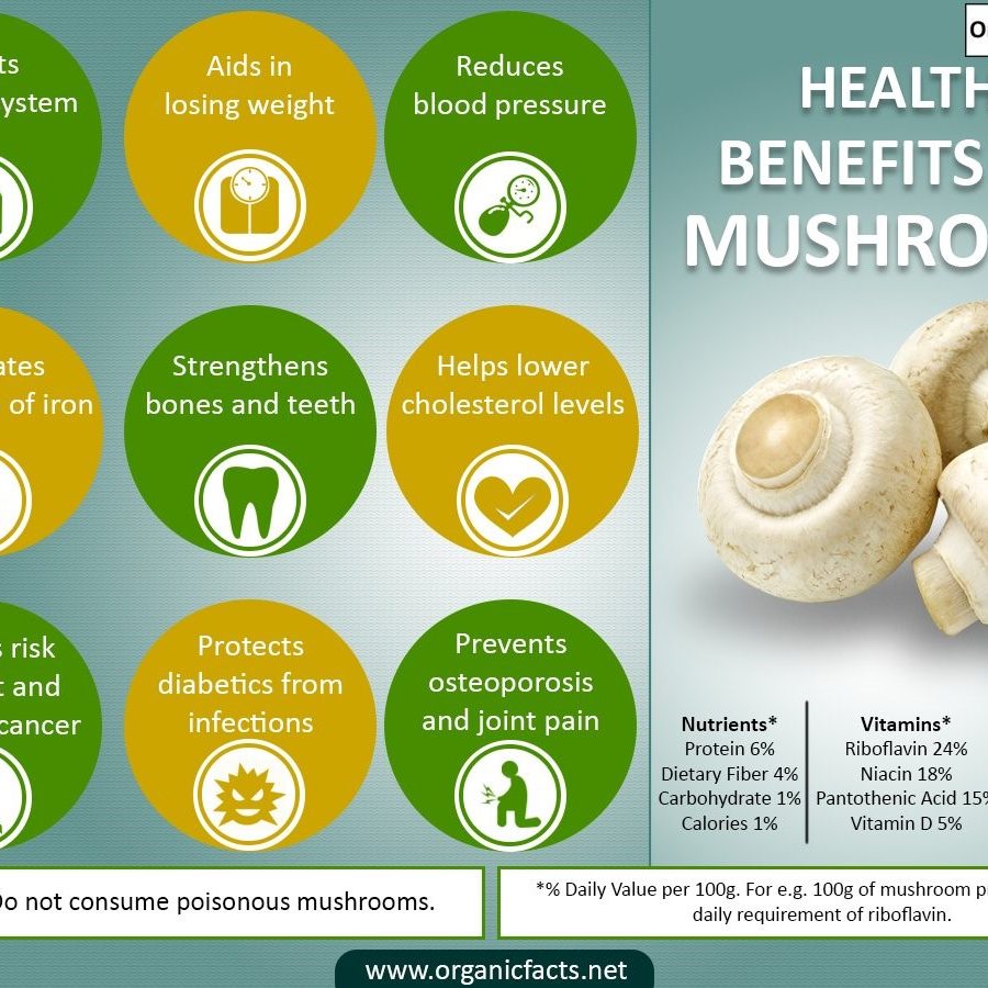 mushroom health benefits - Fill Your Plate Blog